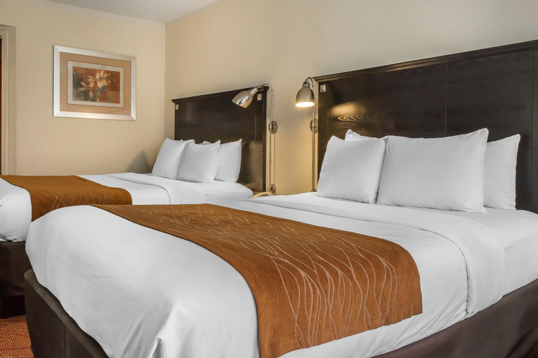 Bedroom 4, Comfort Inn & Suites LaGuardia Airport, New York