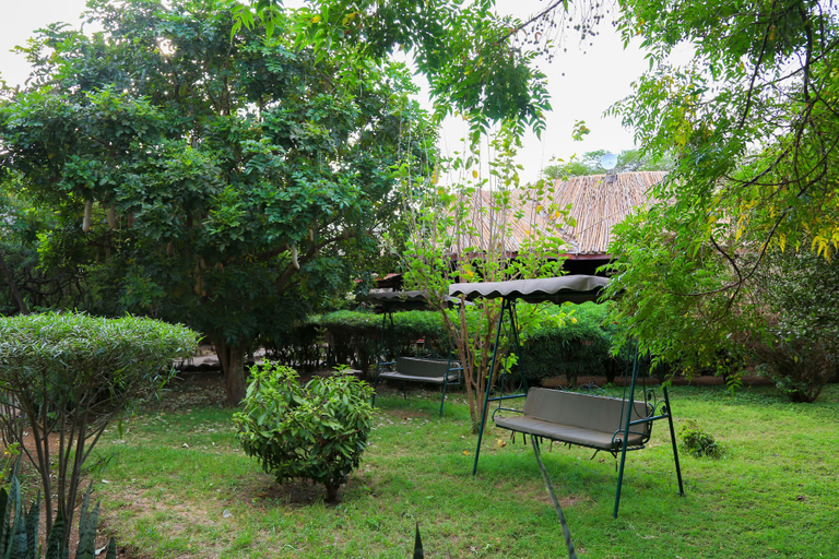 Others 5, Sentrim Amboseli Lodge, Kajiado South