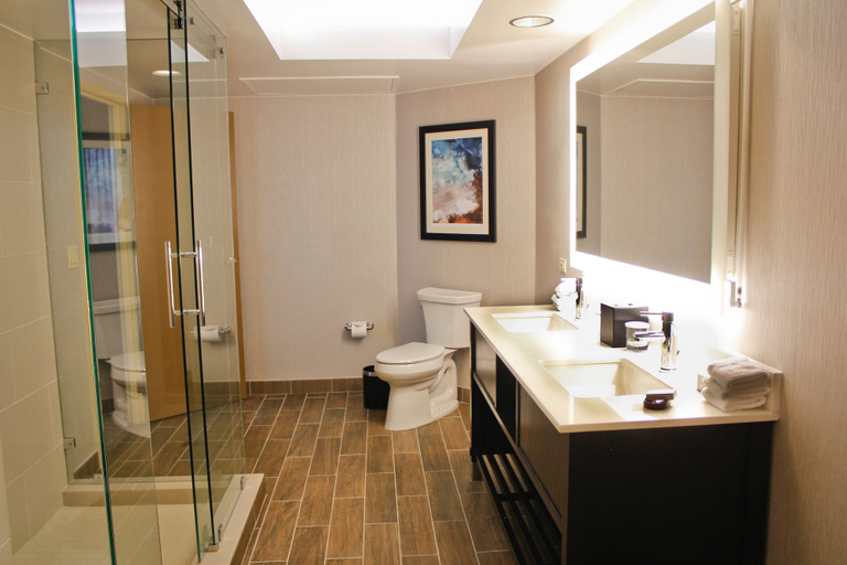 Bathroom 4, Embassy Suites by Hilton Seattle North Lynnwood, Snohomish