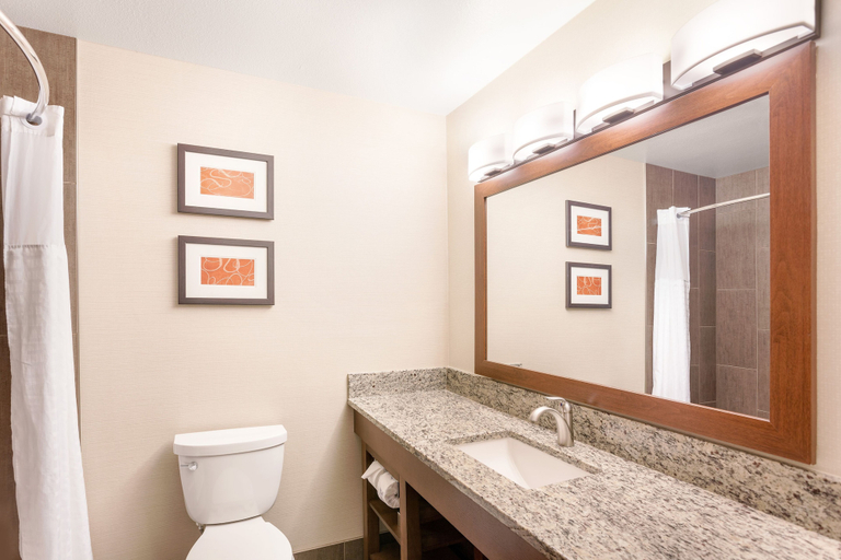 Bathroom 4, Comfort Suites Yakima, Yakima