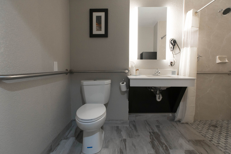 Bathroom 5, Wingate by Wyndham Dallas Love Field, Dallas