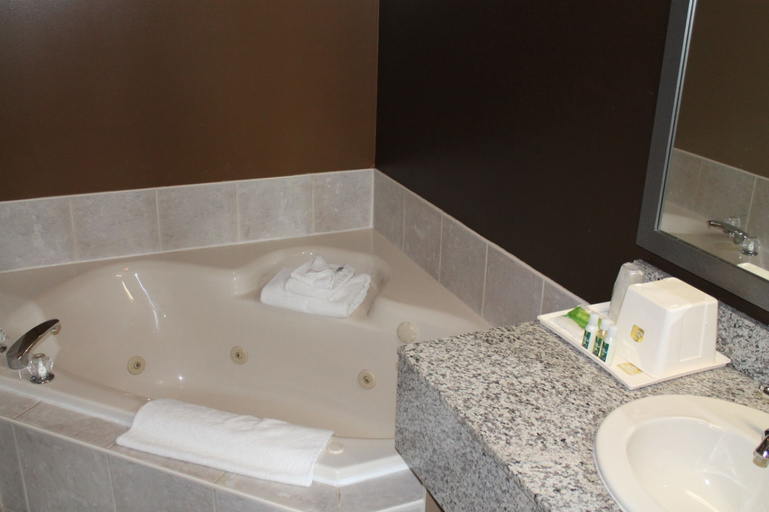 Bathroom 4, Best Western Strathmore Inn, Division No. 5