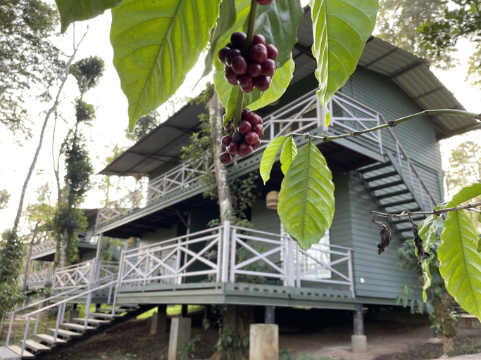 Exterior & Views 2, Machaan Wilderness Lodge Nagarahole, Kodagu
