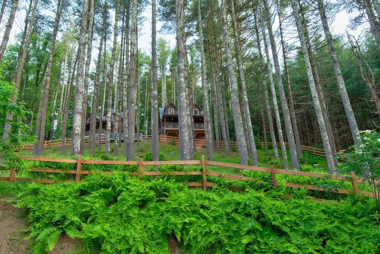 Others 5, Heritage Hill Cabins, Watauga