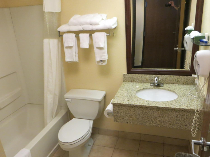Bathroom 4, Quality Inn Winder, Barrow