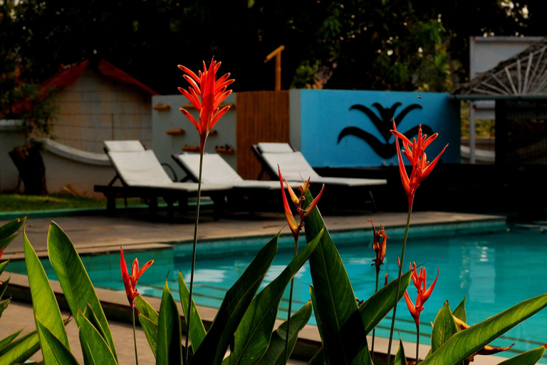 Sport & Beauty 2, Old Lighthouse Bristow Hotel, Ernakulam