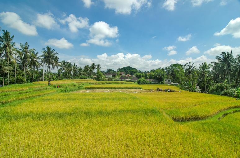 Scenery