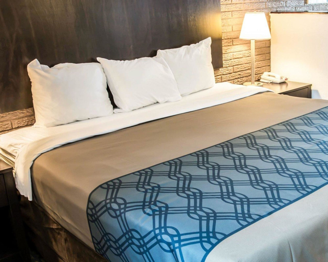 Bedroom 4, Rodeway Inn & Suites Wilmington North, New Hanover