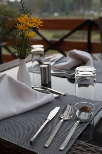Food & Drinks 5, Sterling Kodai Lake, Dindigul