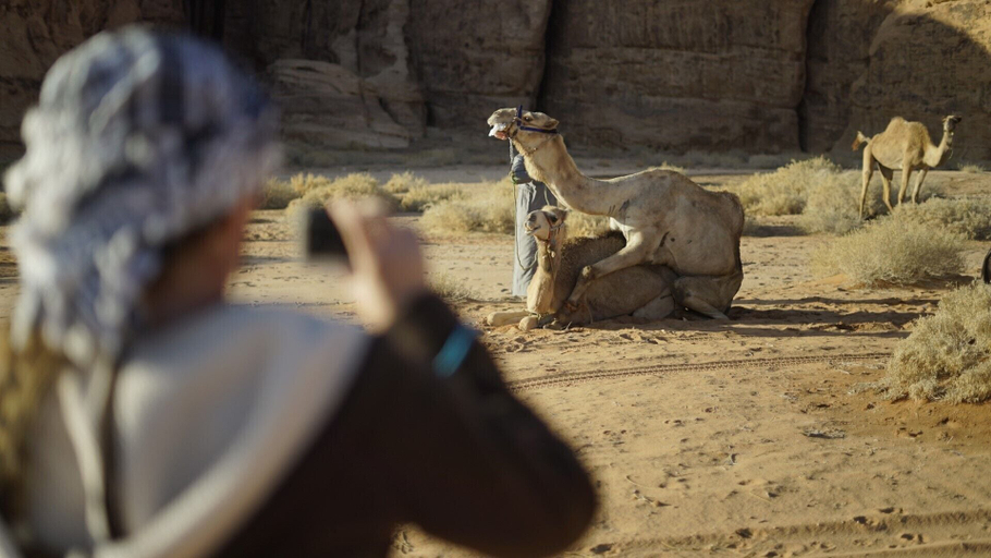 Others 5, Wadi Rum Oasis, Aqaba