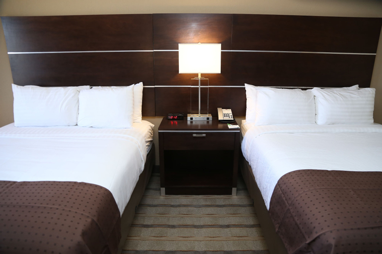 Holiday Inn CHARLOTTE-AIRPORT CONF CTR, Mecklenburg