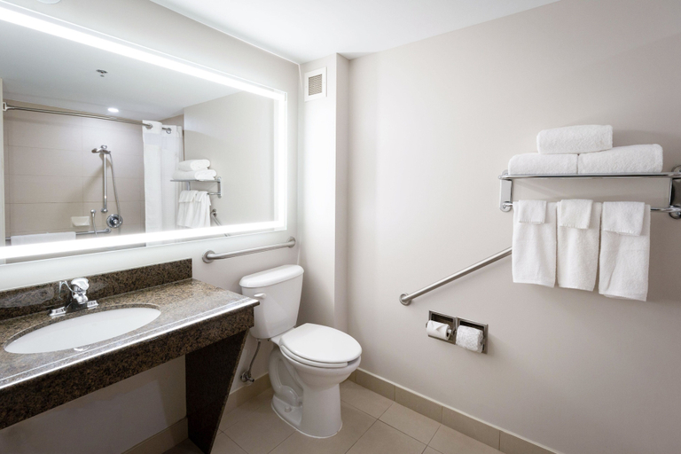 Bathroom 4, Holiday Inn Express & Suites KINGSTON CENTRAL by IHG, Frontenac