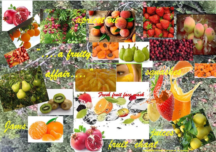 Food & Drinks 4, Trinetra Orchards, Nainital