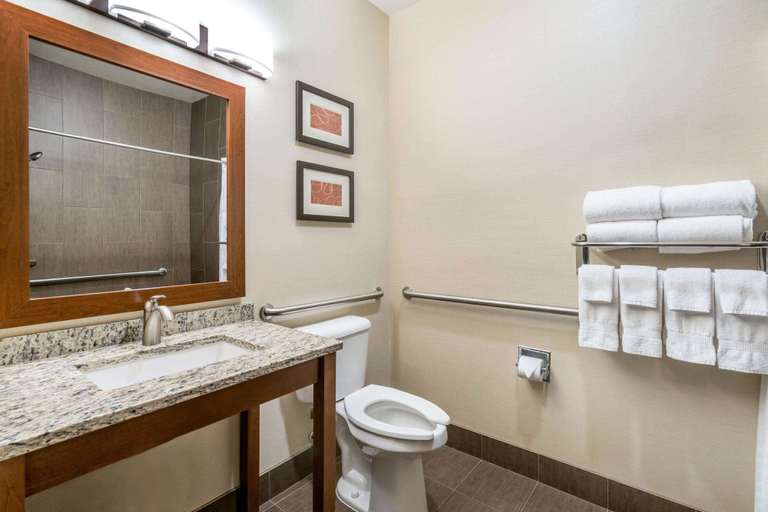 Bathroom 4, Comfort Suites Yakima, Yakima