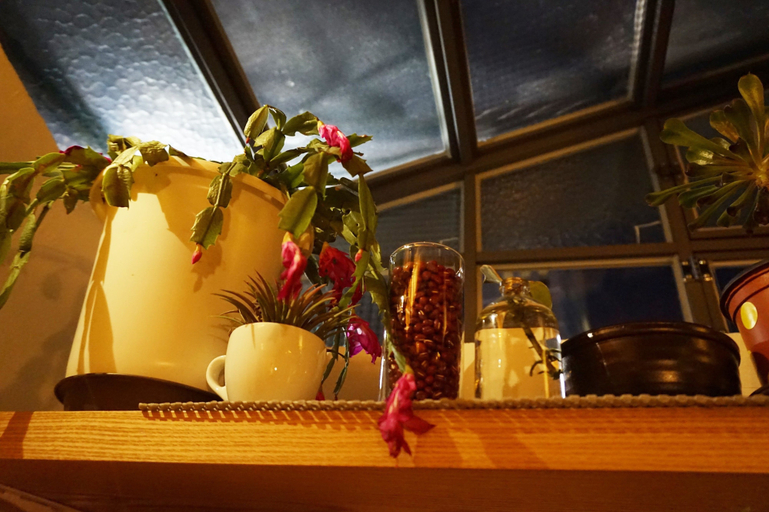 Food & Drinks 5, HanokHanok, Jongno