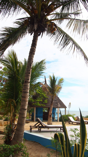 Exterior & Views 2, Caliente Beach Lodge, Atsimo-Andrefana