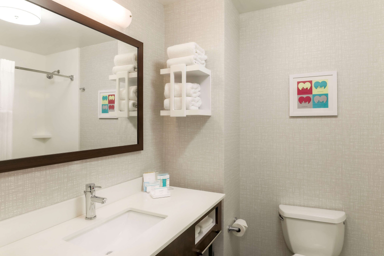 Bathroom 4, Hampton Inn & Suites Pittsburgh-Downtown, Allegheny