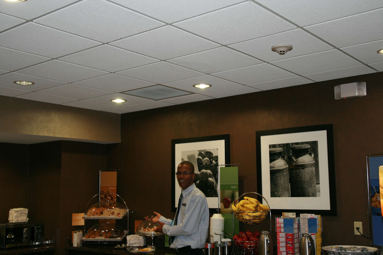 Food & Drinks