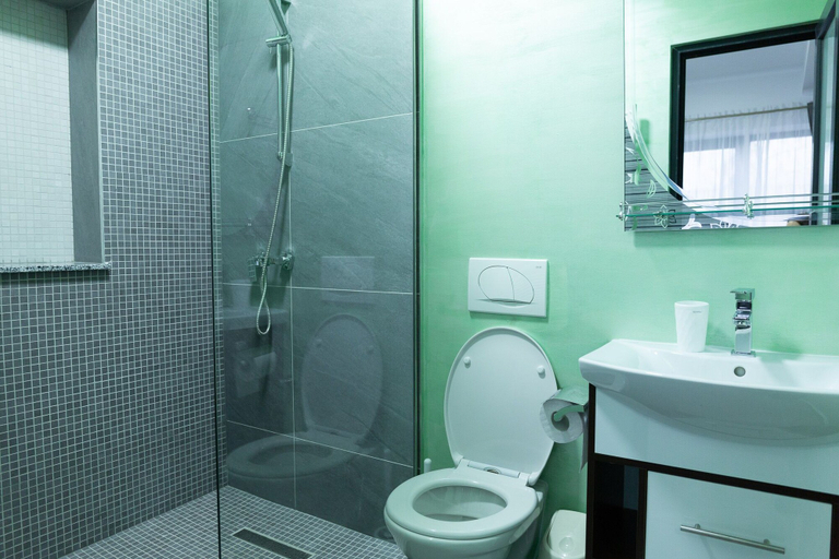 Bathroom 3, Frasin Studios-6 km to Voronet Monastery, Frasin