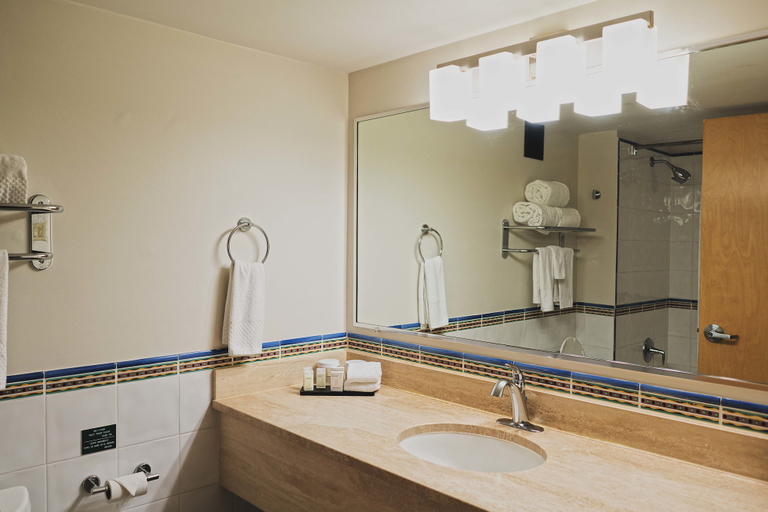Bathroom 4, Embassy Suites by Hilton Dorado del Mar Beach Resort