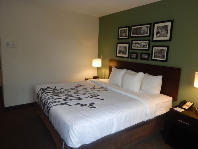 Bedroom 3, Sleep Inn & Suites Evergreen I-65, Conecuh