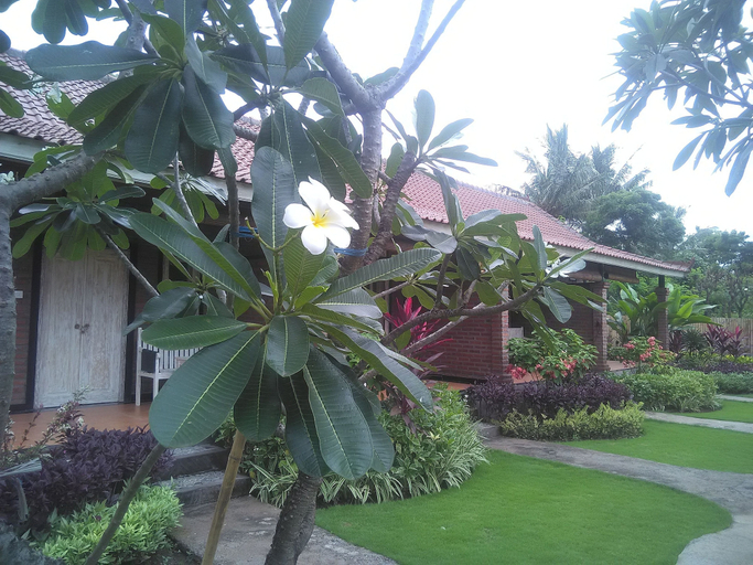 Others 4, Krisna Homestay, Buleleng