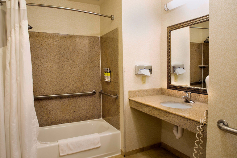 Bathroom 4, Holiday Inn Express & Suites CENTER by IHG, Shelby
