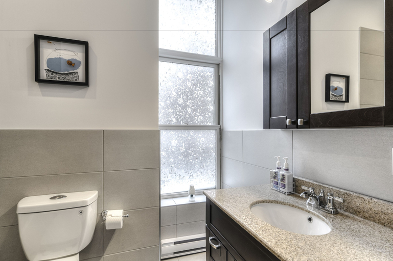 Bathroom 3, St Laurent Apartments, Montréal