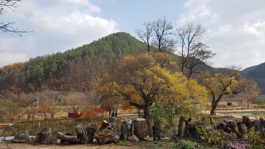 Others 4, Moonlight House, Cheongsong