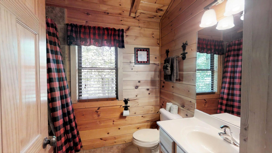 Bathroom 3, Dejaview, Sevier