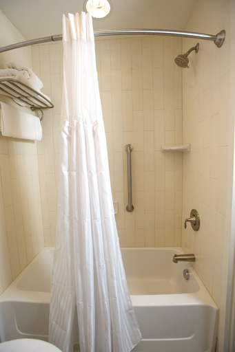 Bathroom 4, Hilton Garden Inn Buffalo Downtown, Erie