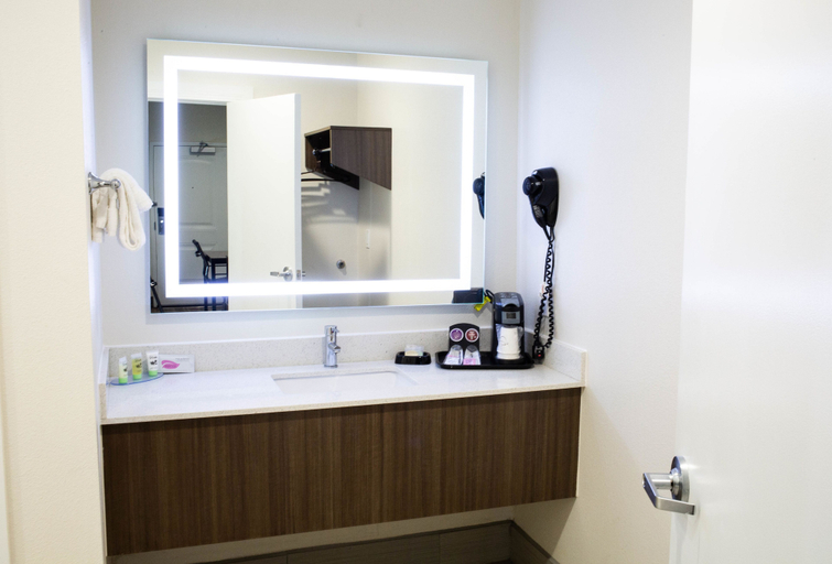 Bathroom 4, Palace Inn, El Paso