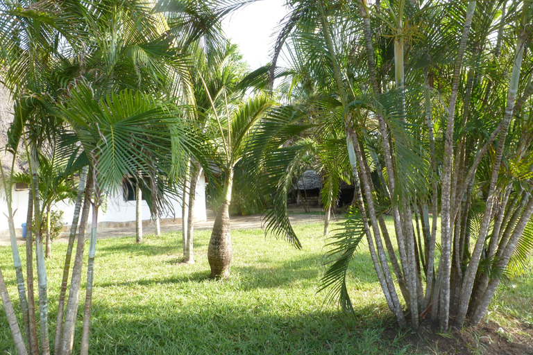 Others 5, luxury villa, Msambweni