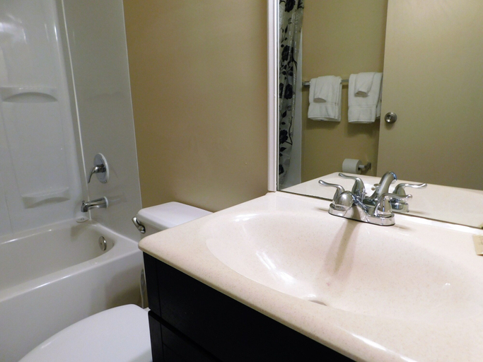 Bathroom 3, APM Inn & Suites, Winchester