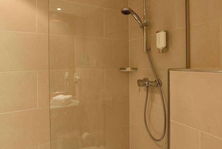 Bathroom 5, H+ Hotel Willingen, Waldeck-Frankenberg