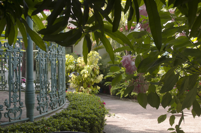 Others 4, Suites Ejecutivas Los Arcos, Tapachula