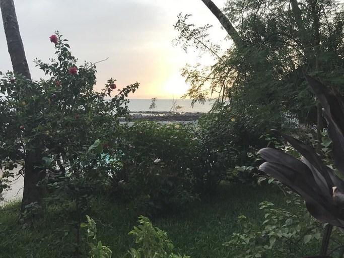 Others 4, Pension Les Palmiers, Conakry