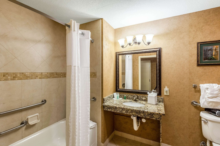 Bathroom 4, Comfort Suites Alamo - Riverwalk, Bexar
