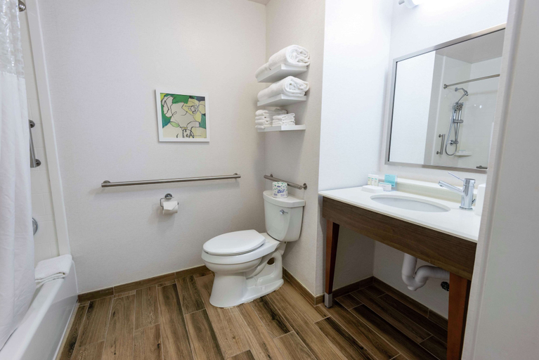 Bathroom 5, Hampton Inn Boca Raton, Palm Beach