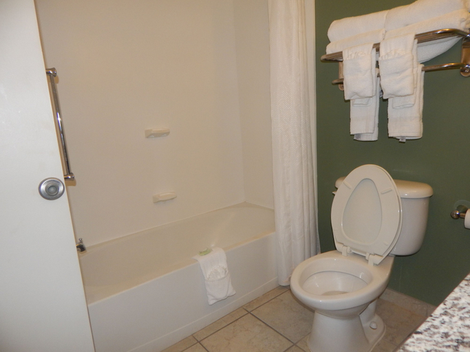 Bathroom 4, Sleep Inn & Suites Evergreen I-65, Conecuh