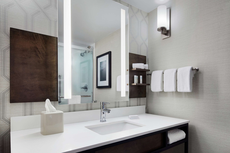 Bathroom 4, Hilton Garden Inn Allentown West, Lehigh