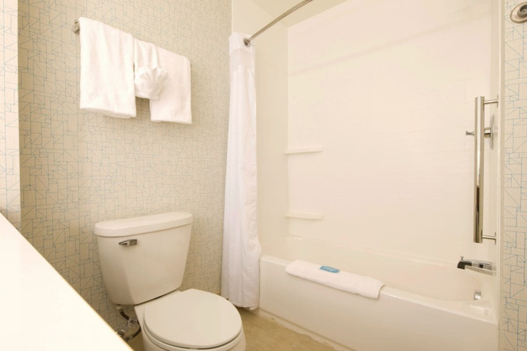 Bathroom 5, Holiday Inn Express & Suites PORT HURON, Saint Clair