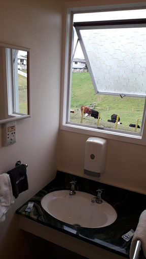 Bathroom 4, Kea Motel & Holiday Park, South Waikato