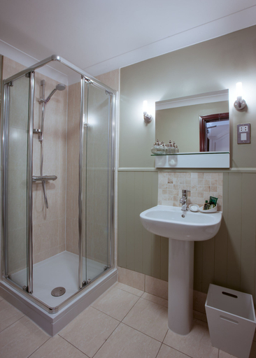 Bathroom, The Red Lion, Bury