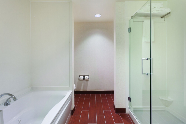Bathroom 4, Hilton Garden Inn Rochester Downtown, NY, Monroe