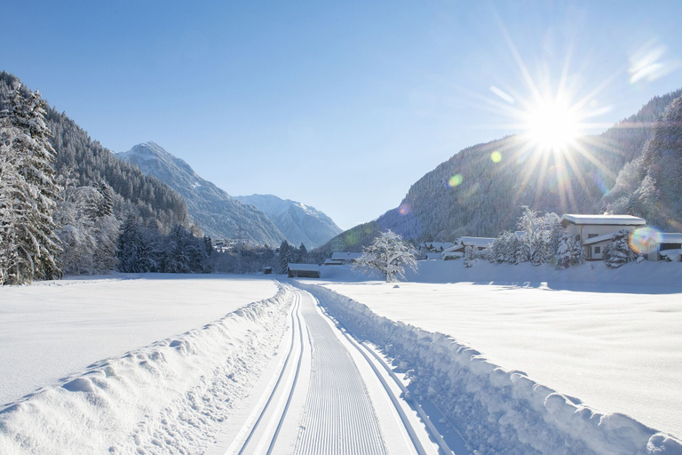 Others 5, Haus Valtellina, Bludenz