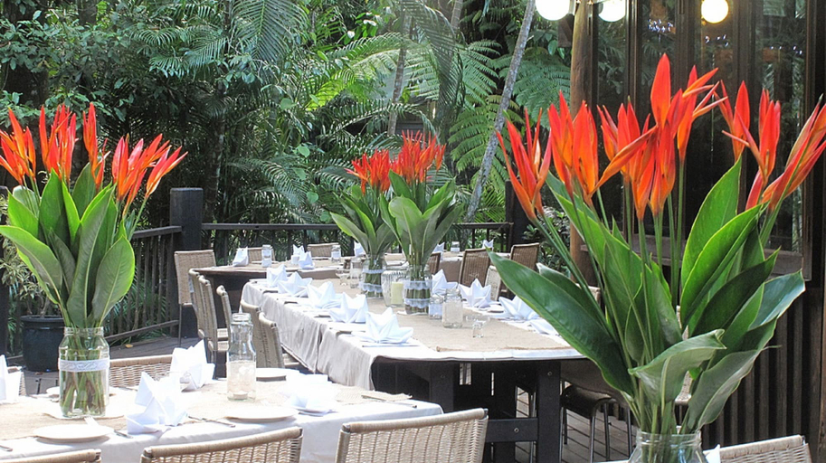 Food & Drinks 4, Ferntree Rainforest Lodge, Douglas