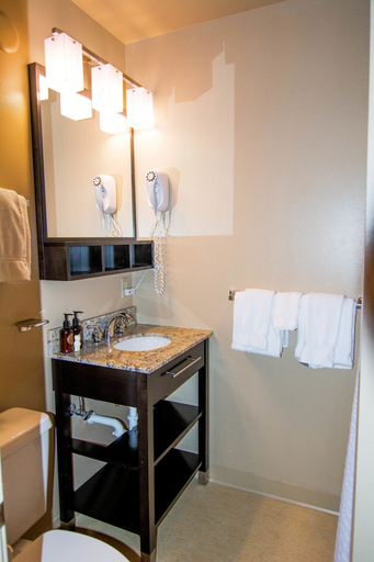 Bathroom 4, Grant Village - Inside the Park, Teton