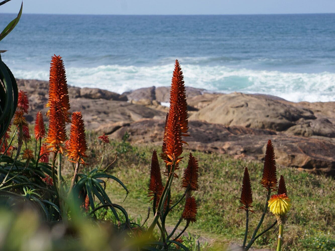 Others 5, Southern Comfort On the Sea, Ugu