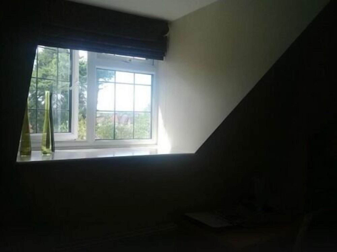Others 5, Springfields, West Sussex